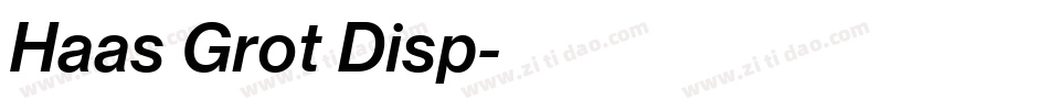 Haas Grot Disp字体转换